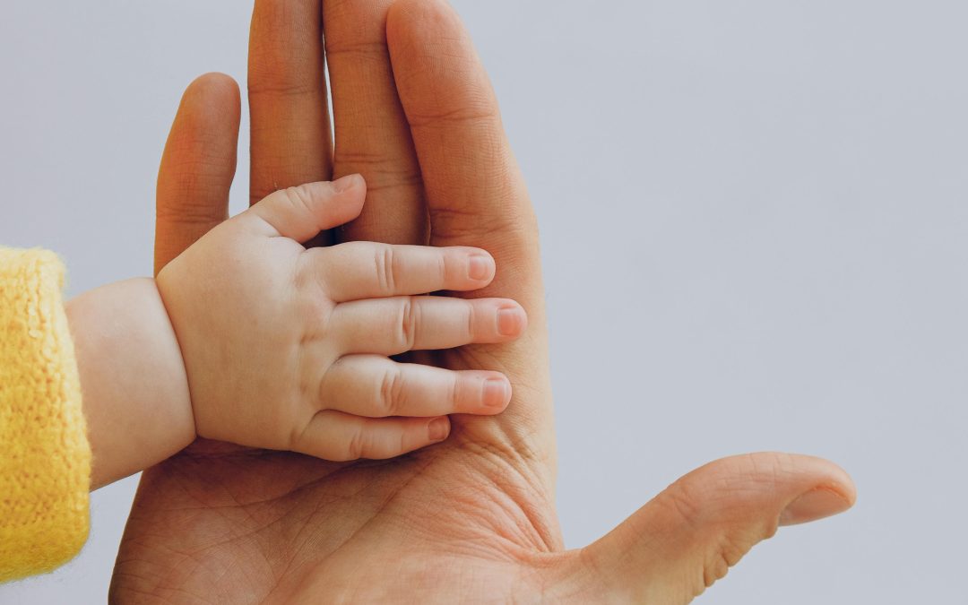 Gentle Hands Building a Foundation of Kindness and Respect