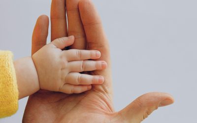 Gentle Hands Building a Foundation of Kindness and Respect
